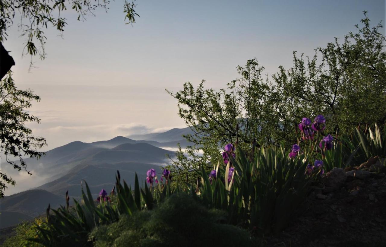 Cortijo Los Maximos Turon Bagian luar foto