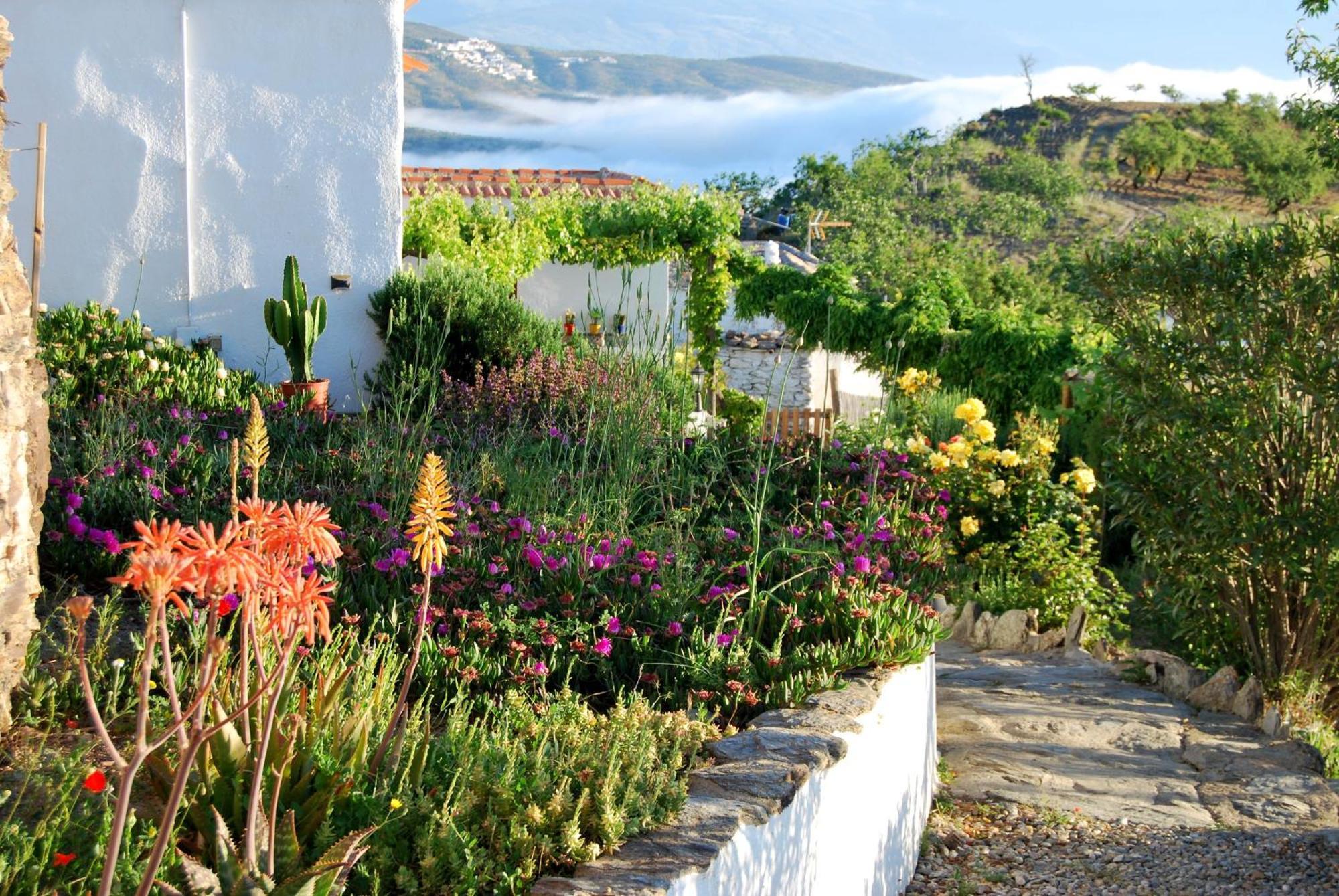 Cortijo Los Maximos Turon Bagian luar foto