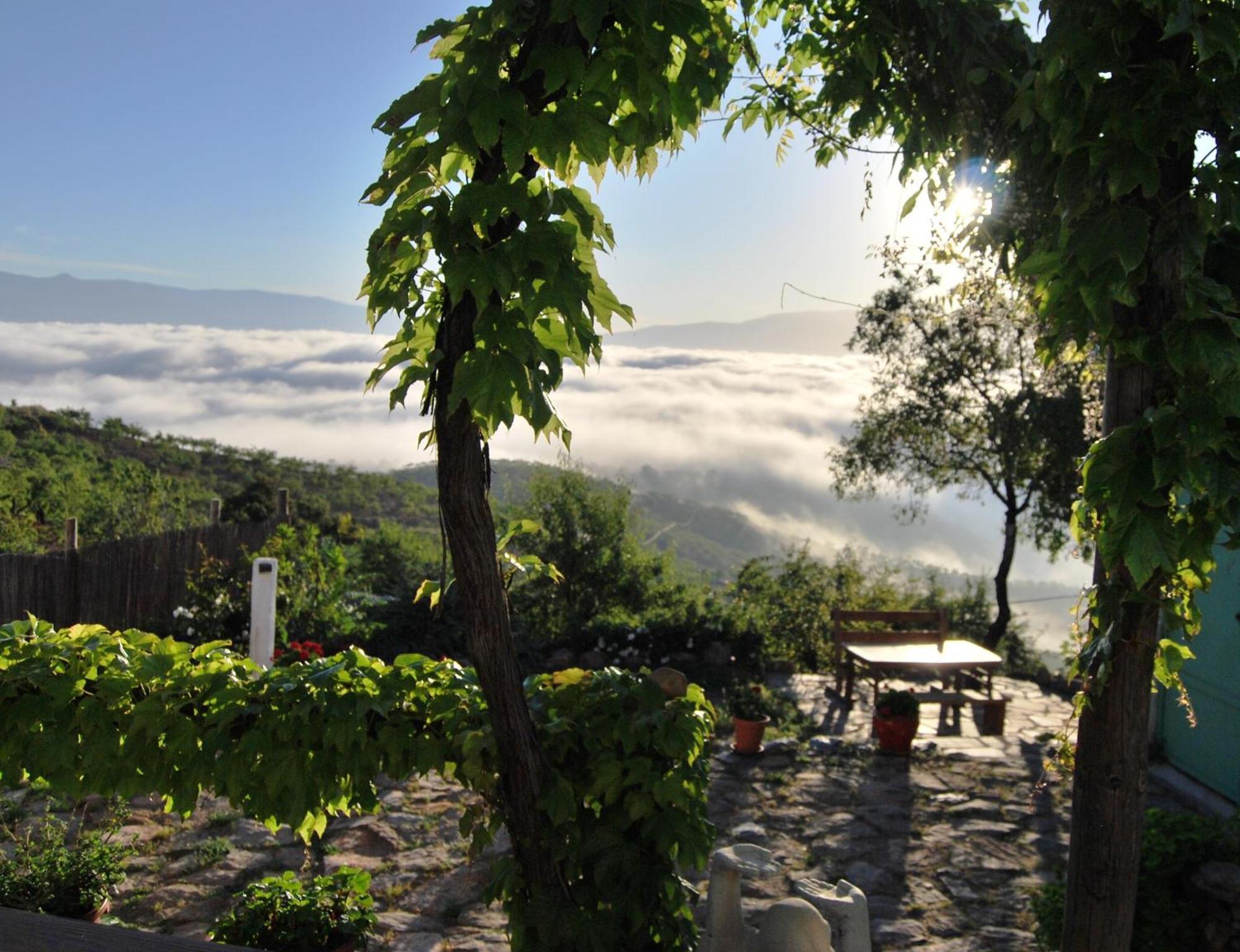 Cortijo Los Maximos Turon Bagian luar foto