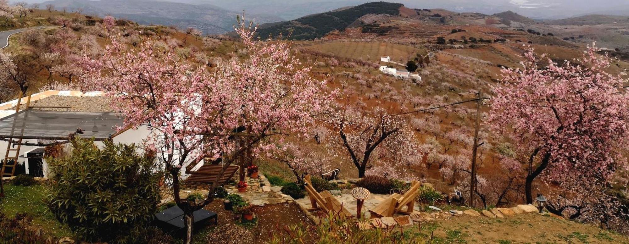 Cortijo Los Maximos Turon Bagian luar foto