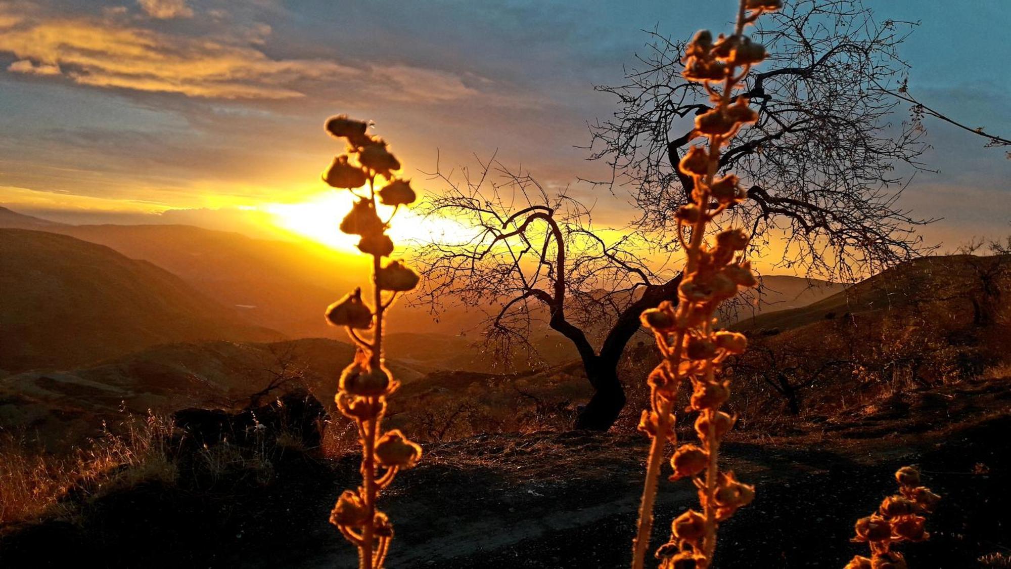 Cortijo Los Maximos Turon Bagian luar foto