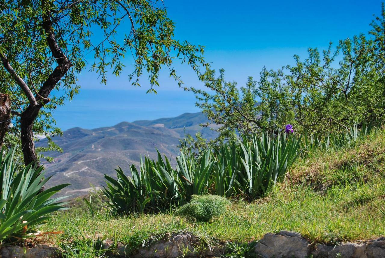 Cortijo Los Maximos Turon Bagian luar foto